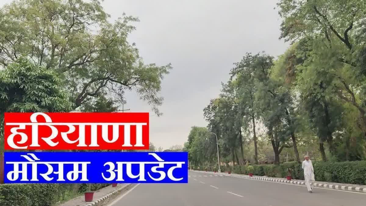 Haryana Weather : बारिश और ओलावृष्टि से बदला मौसम, किसानों की बढ़ी चिंता