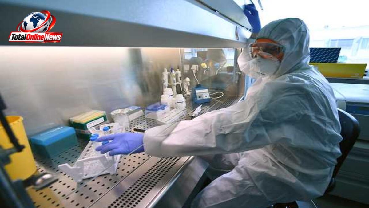 Virus Alert: फ्रांस में इंसान में मिला शामोंडा वायरस, जानवरों में दशकों से मौजूद इस वायरस की पहली रिपोर्ट से बढ़ी चिंता